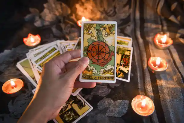 tarot cards Lucama